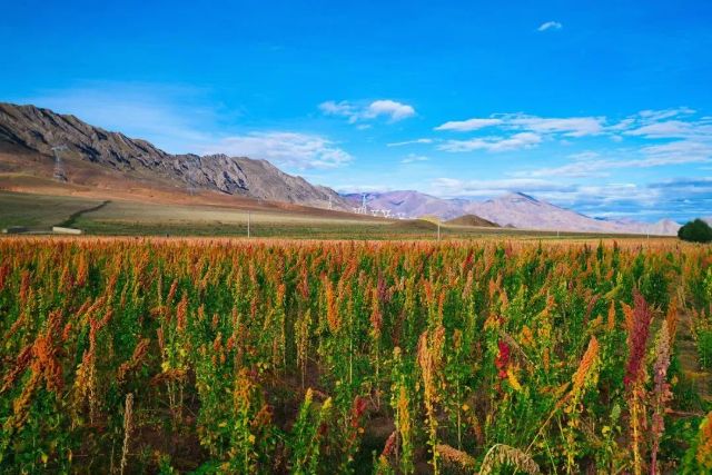 1012_134630_663.jpg 微信图片_20241012105800.jpg