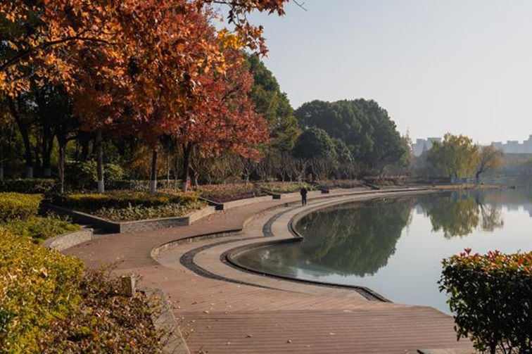 冬日“沪”水游,青浦新城:冬境绮梦,水韵流长 冬日“沪”水游,青浦新城:冬境绮梦,水韵流长