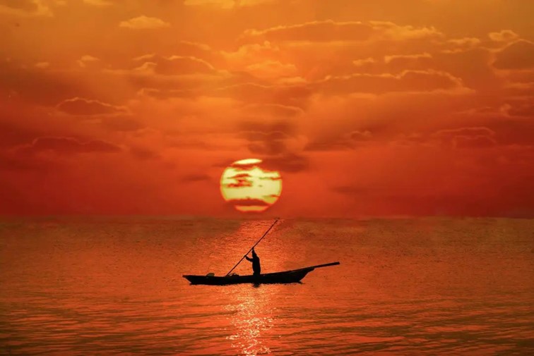 快高铁·慢生活|开通啦!青浦上榜长三角“四季主题榜单”和十大主题线路! 快高铁·慢生活|开通啦!青浦上榜长三角“四季主题榜单”和十大主题线路!