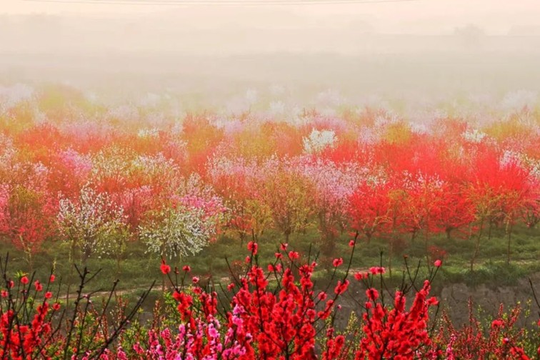 随着镜头中的涟漪,在水韵流转中感受青浦水美乡村 随着镜头中的涟漪,在水韵流转中感受青浦水美乡村