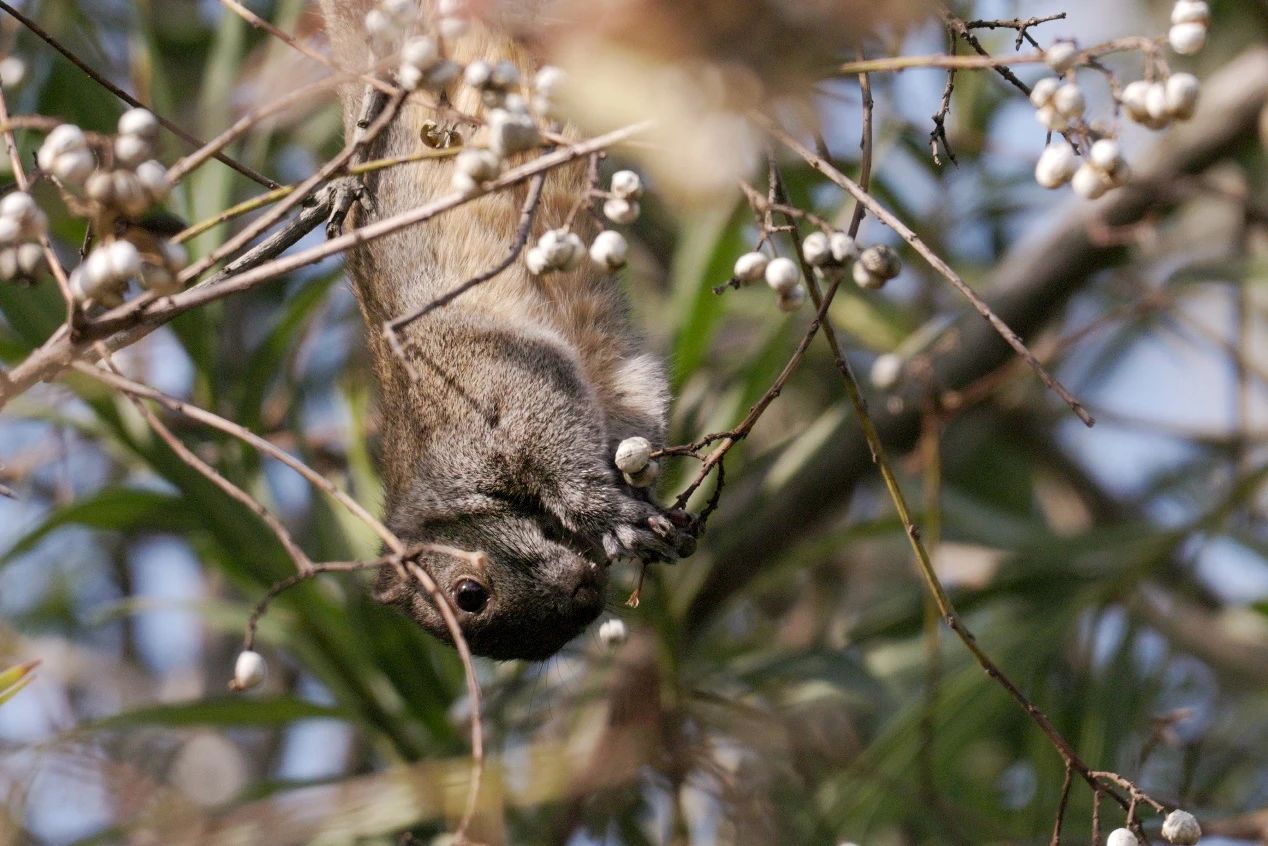上海首个商场内的“生境花园”即将在长宁亮相4.jpg 上海首个商场内的“生境花园”即将在长宁亮相4.jpg