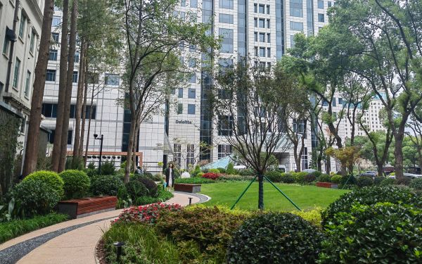 IMG_20241030_142624.jpg IMG_20241030_142624.jpg