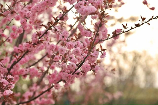 0407_121703_441.jpg 微信图片_2025-04-07_121406_768.jpg