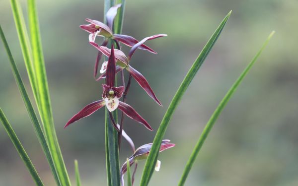 7085e7630b1409177b8bdda2f10363d.jpg 7085e7630b1409177b8bdda2f10363d.jpg