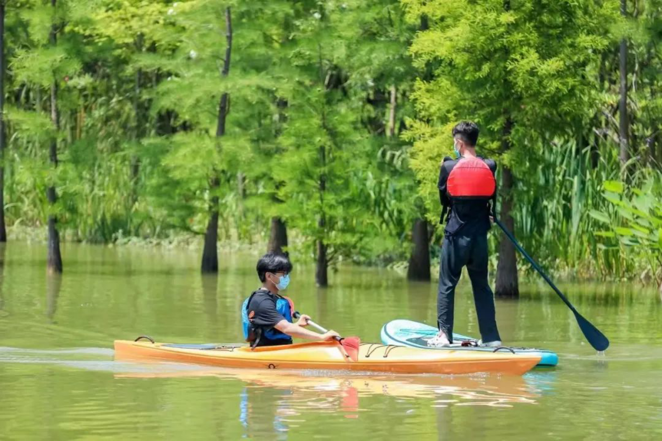 走1020.png 走1020.png