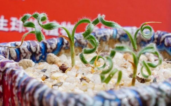 DSC09739.jpg DSC09739.jpg