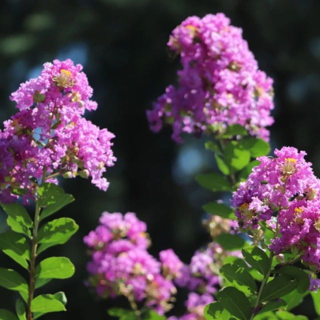 0830_141233_336.jpg 微信图片_20240830095859.jpg