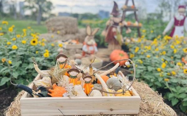 微信图片_20240927170852.jpg 微信图片_20240927170852.jpg