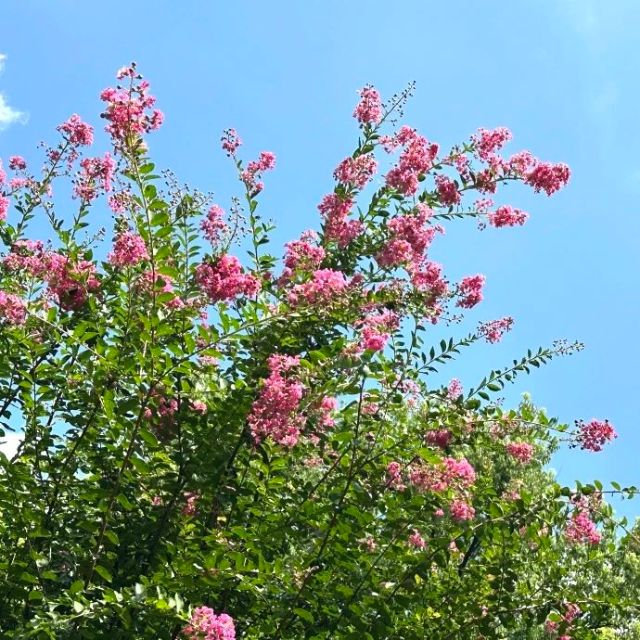 0830_141200_249.jpg 微信图片_20240830095841.jpg