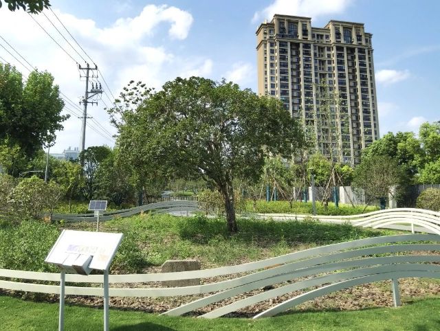 0206_140746_154.jpg 微信图片_2025-02-06_104950_944.png