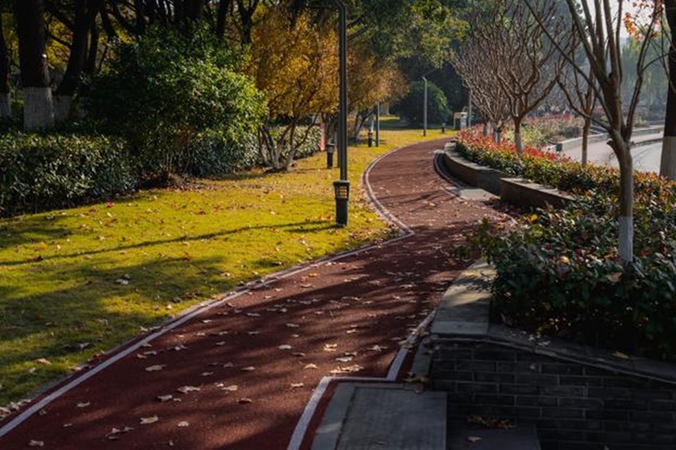 冬日“沪”水游,青浦新城:冬境绮梦,水韵流长 冬日“沪”水游,青浦新城:冬境绮梦,水韵流长