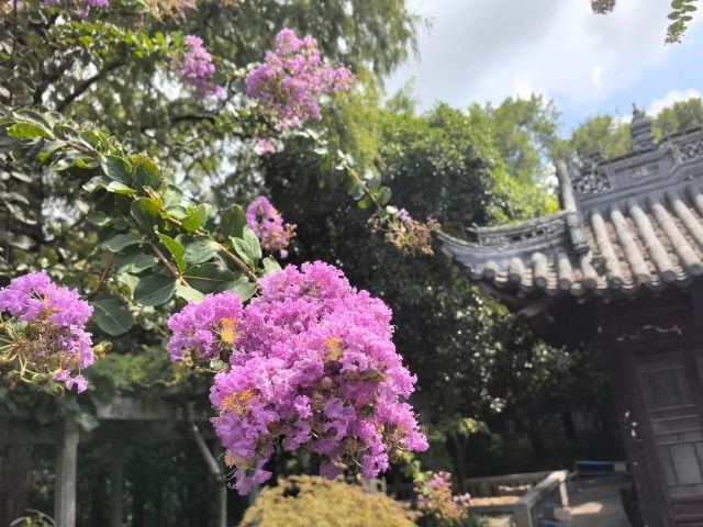 0830_141204_534.jpg 微信图片_20240830095843.jpg