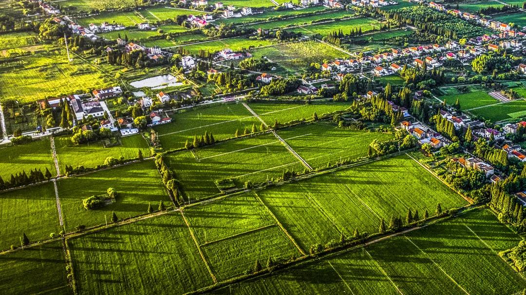 20241009090457044545.jpg 20241009090457044545.jpg