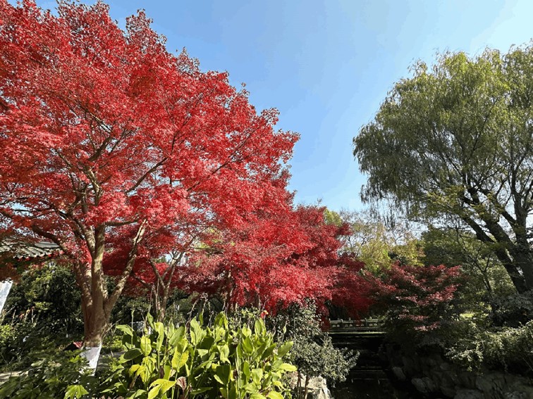 跟着半马游青浦|收藏!带你玩转线路周边吃喝玩乐全攻略! 跟着半马游青浦|收藏!带你玩转线路周边吃喝玩乐全攻略!