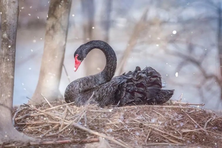 柿子熟了,快来青浦邂逅最“甜蜜”的秋!再不来就要等一年了! 柿子熟了,快来青浦邂逅最“甜蜜”的秋!再不来就要等一年了!