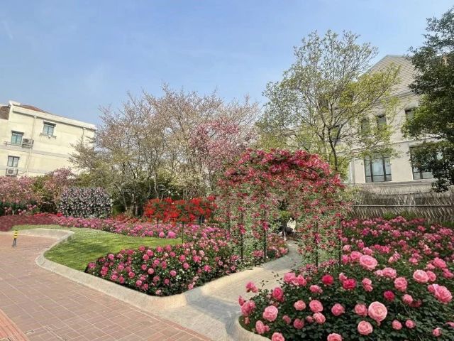 0423_154617_804.jpg 微信图片_2025-04-23_102310_847.jpg