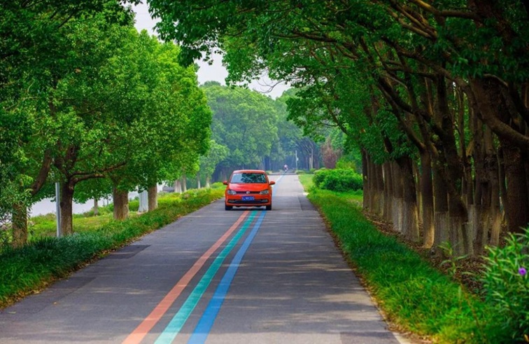 随着镜头中的涟漪,在水韵流转中感受青浦水美乡村 随着镜头中的涟漪,在水韵流转中感受青浦水美乡村