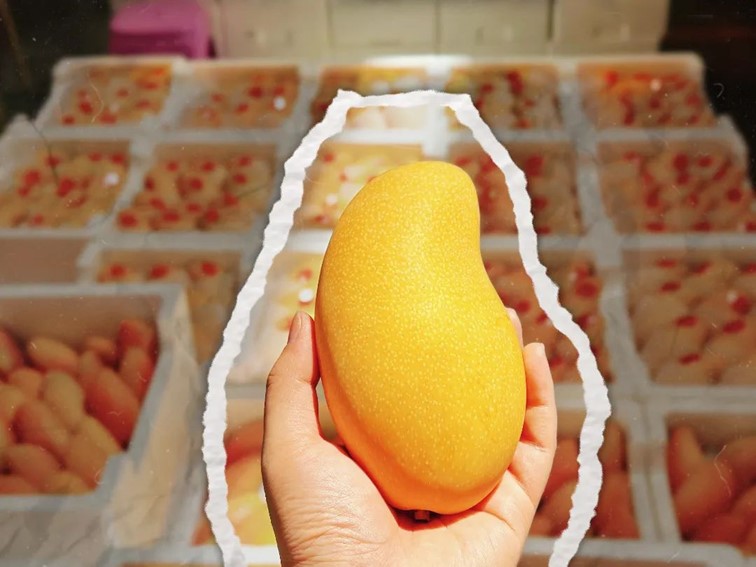 会·聚青浦|这篇超好逛的青浦购物图鉴,一定是“购物星人”的最爱! 会·聚青浦|这篇超好逛的青浦购物图鉴,一定是“购物星人”的最爱!