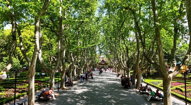 0423_154546_228.jpg 微信图片_2025-04-23_102243_884.jpg