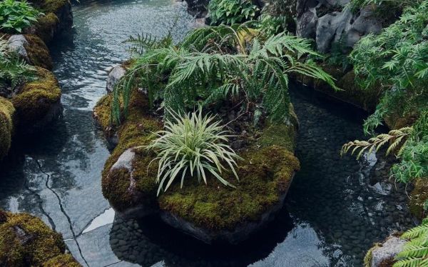 微信图片_20240927171213.jpg 微信图片_20240927171213.jpg