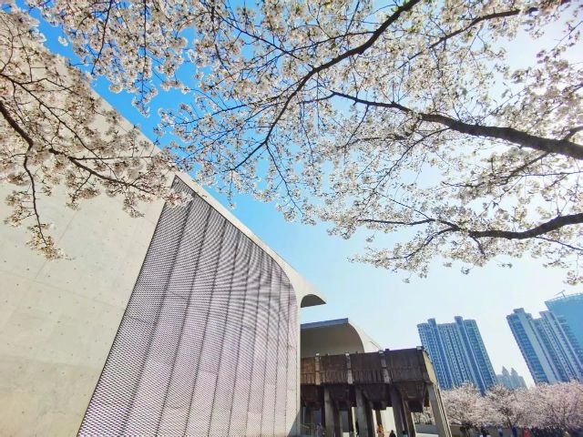 0317_141836_234.jpg 微信图片_2025-03-17_141631_073.jpg