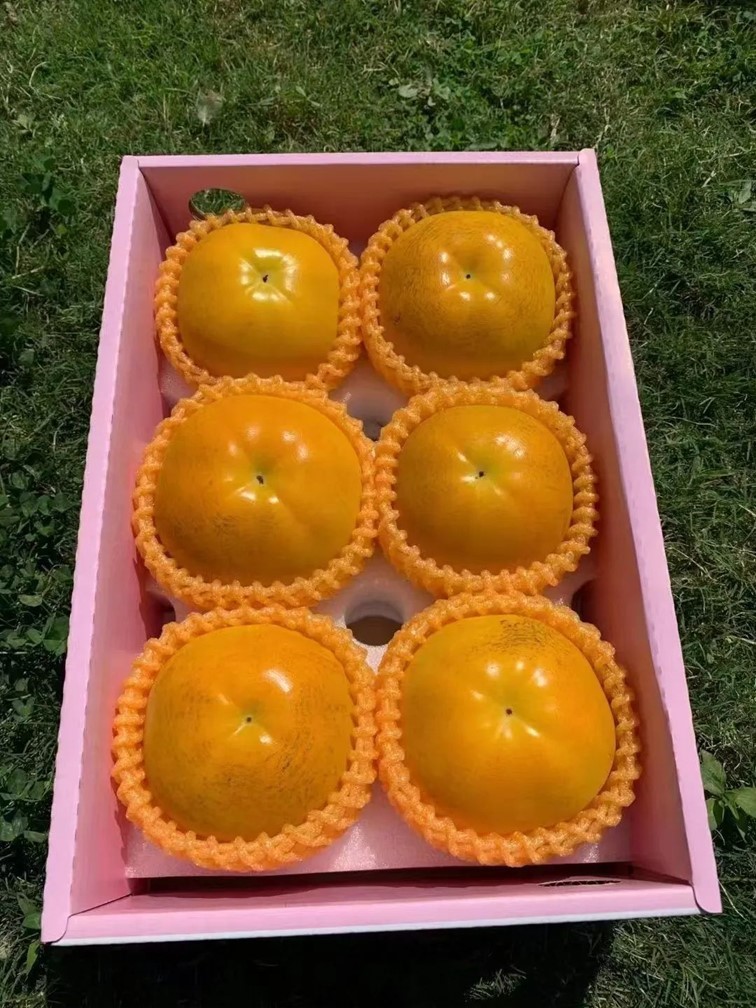 会·聚青浦|这篇超好逛的青浦购物图鉴,一定是“购物星人”的最爱! 会·聚青浦|这篇超好逛的青浦购物图鉴,一定是“购物星人”的最爱!