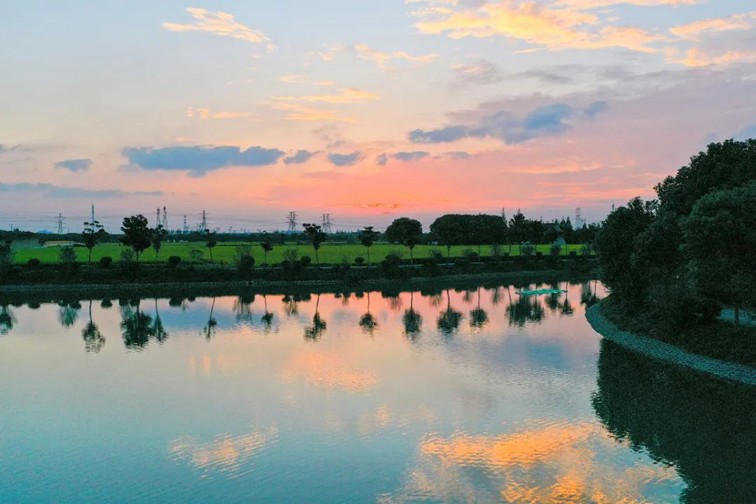 江南春景水一半,12处小流域绘青浦生态美域 江南春景水一半,12处小流域绘青浦生态美域