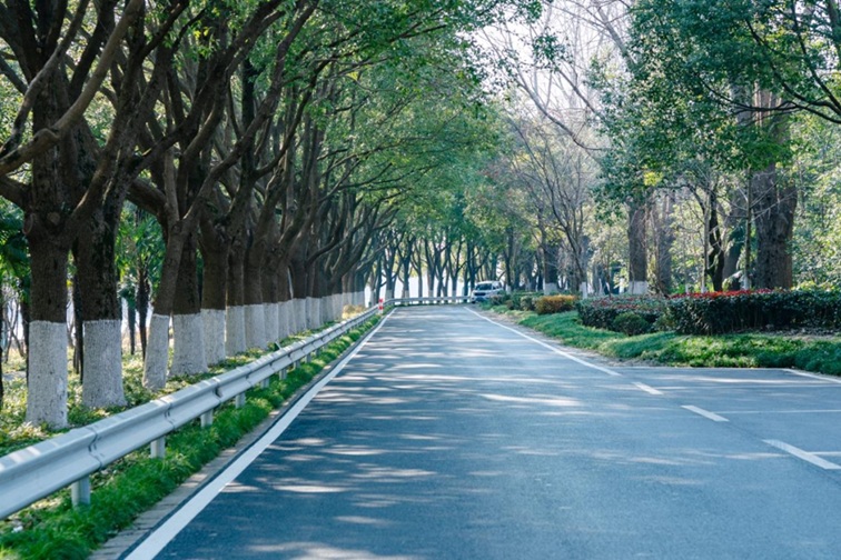 来青浦,骑行在青西“大河大湖”,太酷了! 来青浦,骑行在青西“大河大湖”,太酷了!