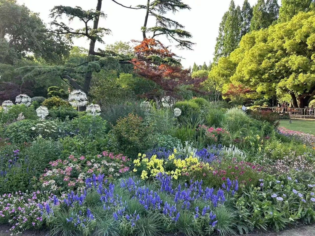 长宁这些公园获奖啦~5.jpg 长宁这些公园获奖啦~5.jpg