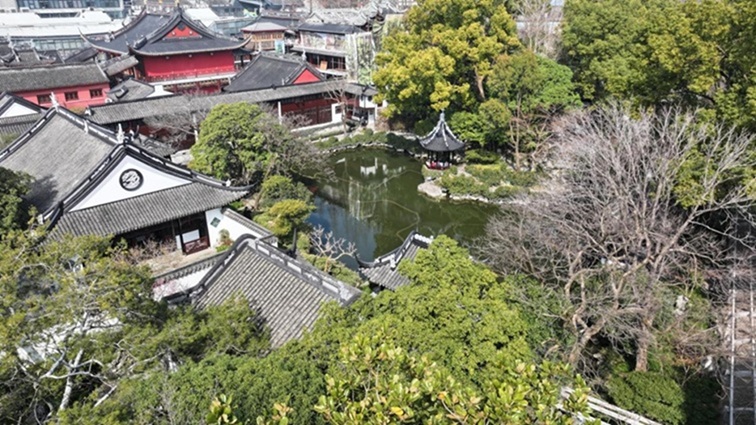 沪水畔,慢时光!梅花映水,到青浦赏梅品水 沪水畔,慢时光!梅花映水,到青浦赏梅品水