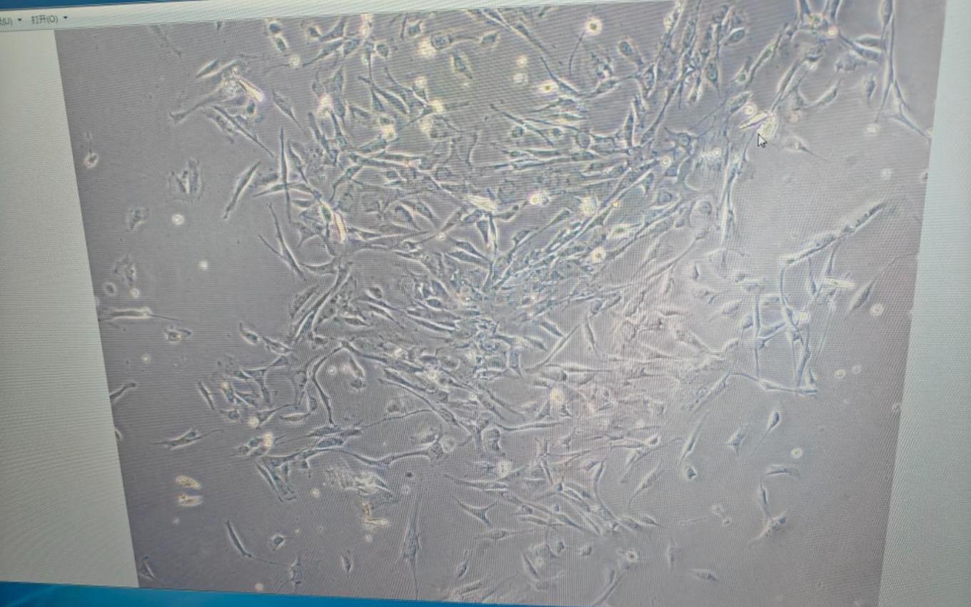 1319300559.jpg 1319300559.jpg