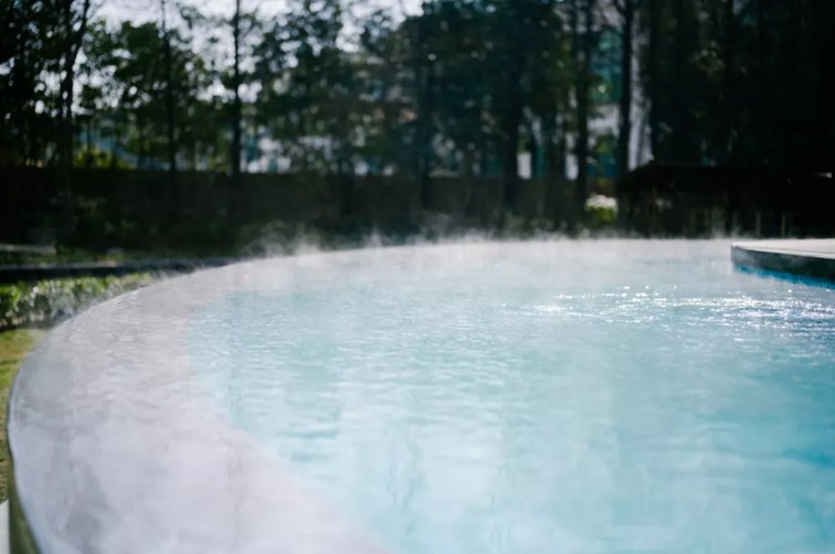 过大年·来青浦丨“蛇”我其谁~青浦近50场新春活动等你“过·来”玩! 过大年·来青浦丨“蛇”我其谁~青浦近50场新春活动等你“过·来”玩!