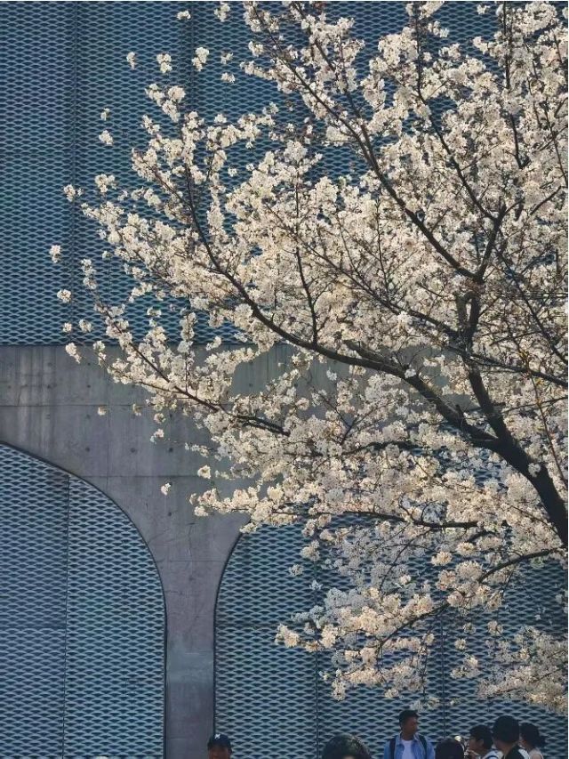 0328_113816_210.jpg 微信图片_2025-03-28_113920_120.jpg