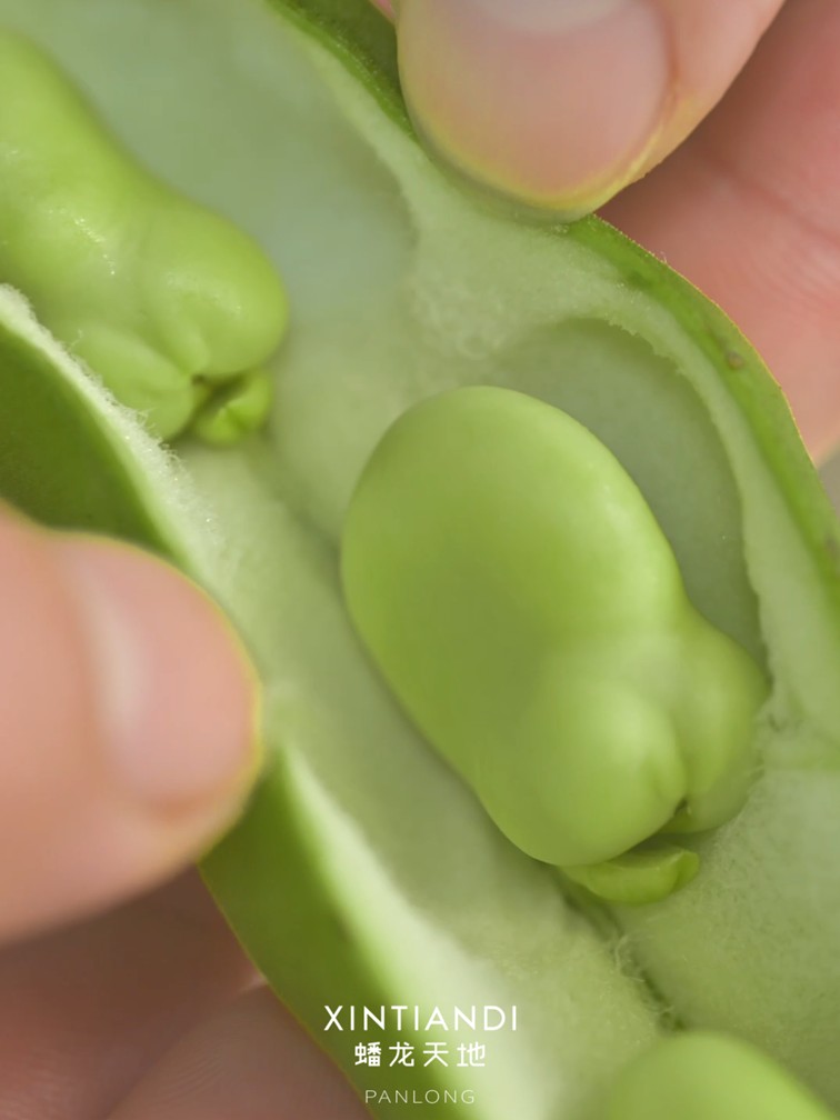 318青浦旅游日丨春日限定!青浦几大商场各出奇招,邀你和春光碰头! 318青浦旅游日丨春日限定!青浦几大商场各出奇招,邀你和春光碰头!