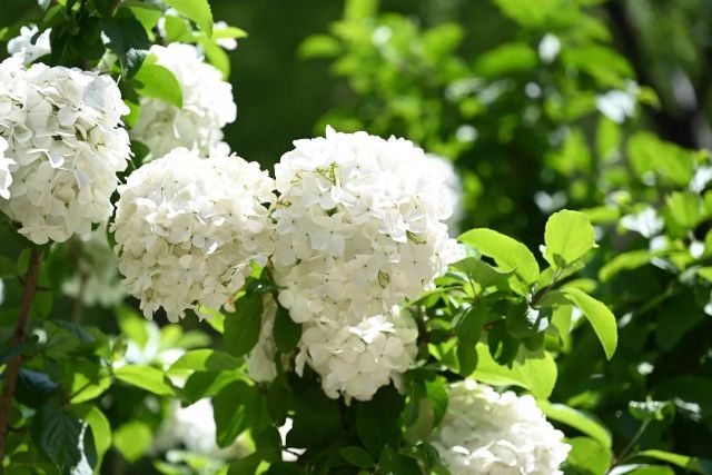 0421_152659_372.jpg 微信图片_2025-04-21_142023_888.jpg