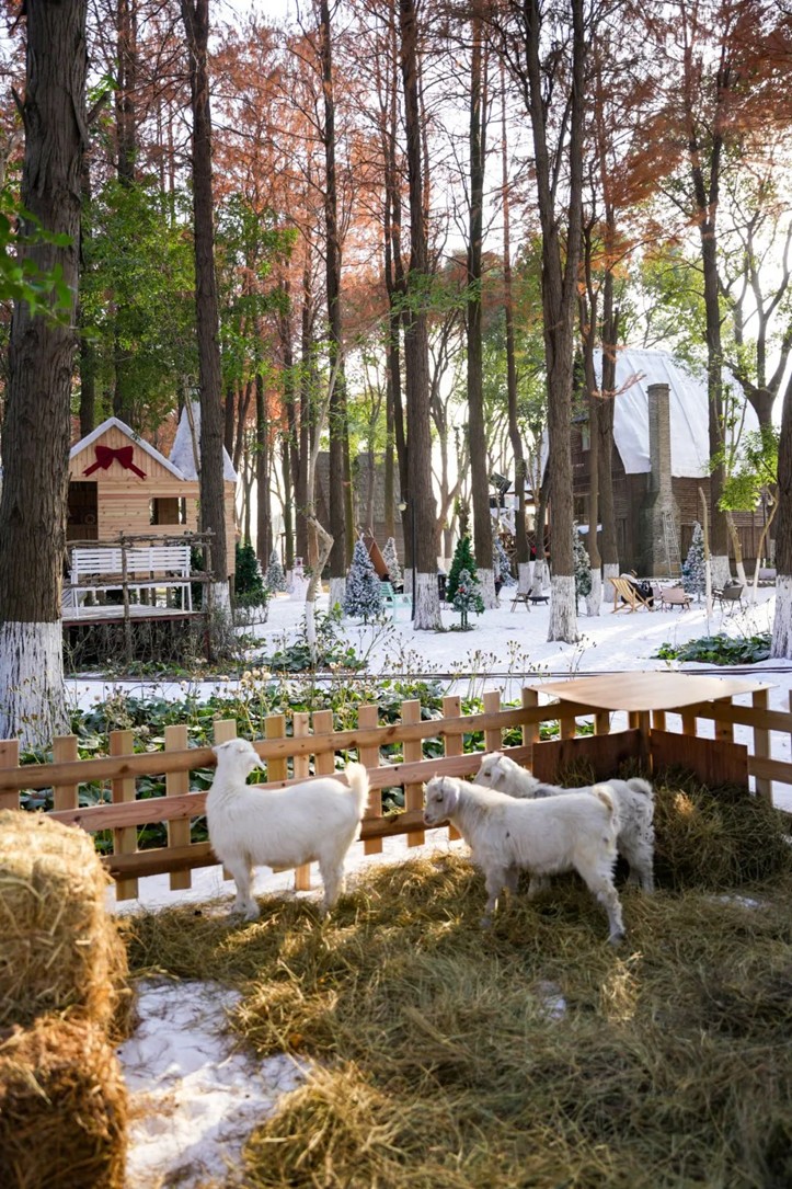 过大年·来青浦丨“蛇”我其谁~青浦近50场新春活动等你“过·来”玩! 过大年·来青浦丨“蛇”我其谁~青浦近50场新春活动等你“过·来”玩!