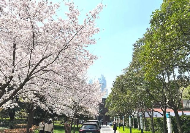 0324_143622_339.jpg 微信图片_2025-03-24_121500_531.jpg