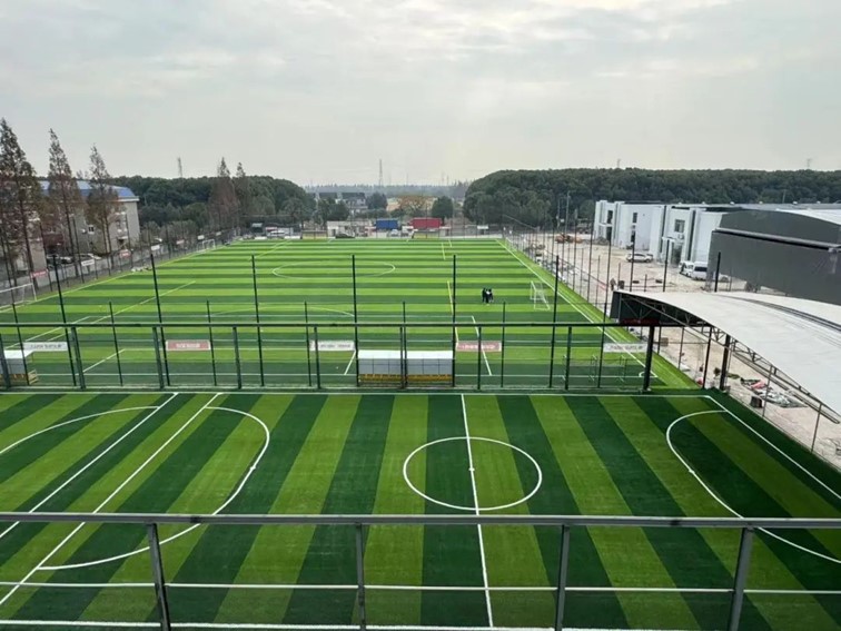 跟着半马游青浦|玩法多样,老少兼顾!让你的每一步都充满惊喜! 跟着半马游青浦|玩法多样,老少兼顾!让你的每一步都充满惊喜!