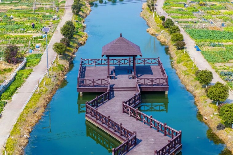 江南春景水一半,12处小流域绘青浦生态美域 江南春景水一半,12处小流域绘青浦生态美域