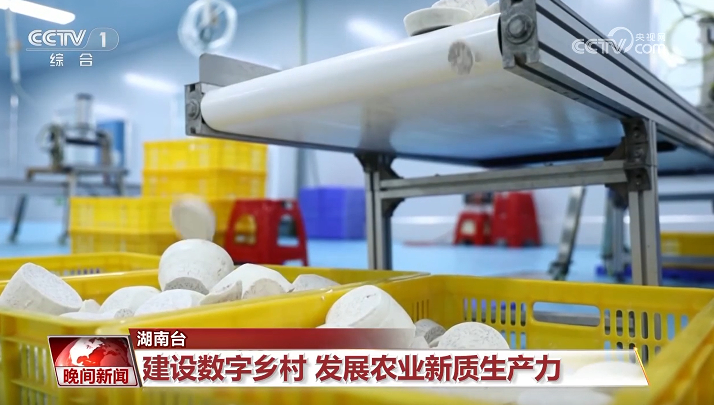 2025030223550526974.jpg 2025030223550526974.jpg