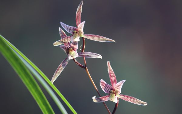 046637af87a9f5d3fbf20c8494029d7.jpg 046637af87a9f5d3fbf20c8494029d7.jpg