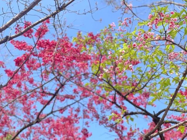 0324_143710_562.jpg 微信图片_2025-03-24_121524_638.jpg