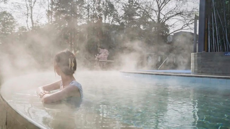 过大年·来青浦丨“蛇”我其谁~青浦近50场新春活动等你“过·来”玩! 过大年·来青浦丨“蛇”我其谁~青浦近50场新春活动等你“过·来”玩!