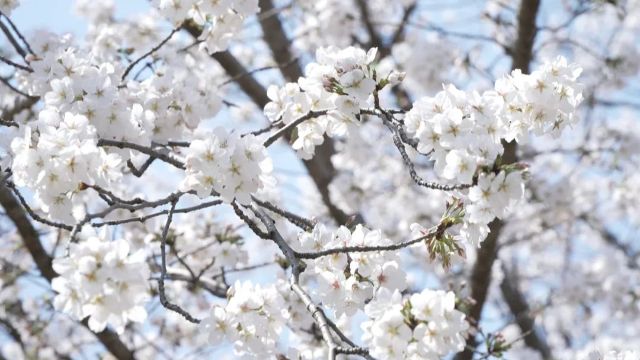 0327_121554_732.jpg 微信图片_2025-03-27_121650_546.jpg