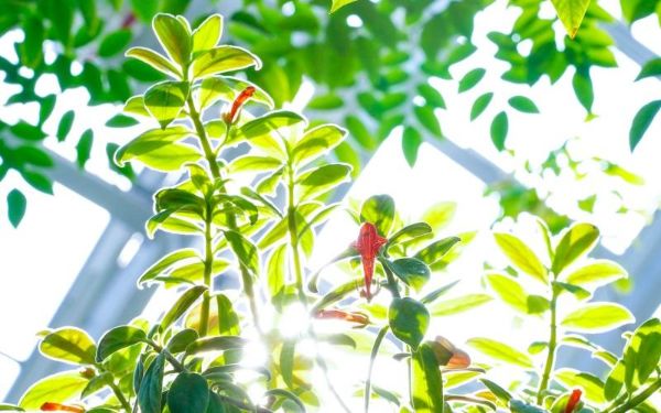 DSC00021.jpg DSC00021.jpg