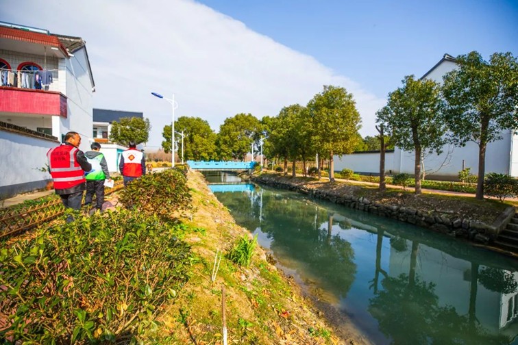 江南春景水一半,12处小流域绘青浦生态美域 江南春景水一半,12处小流域绘青浦生态美域