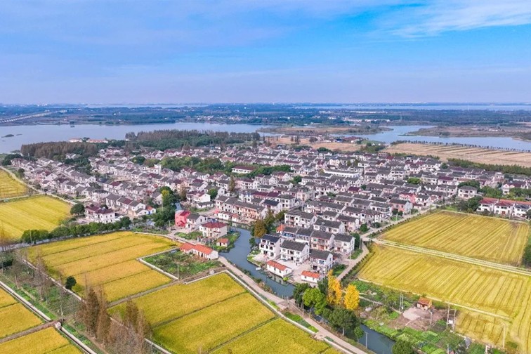 江南春景水一半,12处小流域绘青浦生态美域 江南春景水一半,12处小流域绘青浦生态美域