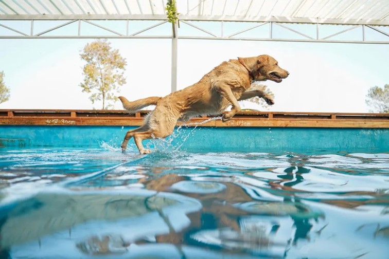 跟着半马游青浦|收藏!带你玩转线路周边吃喝玩乐全攻略! 跟着半马游青浦|收藏!带你玩转线路周边吃喝玩乐全攻略!