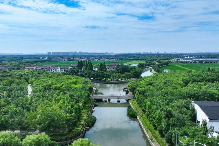 江南春景水一半,12处小流域绘青浦生态美域 江南春景水一半,12处小流域绘青浦生态美域
