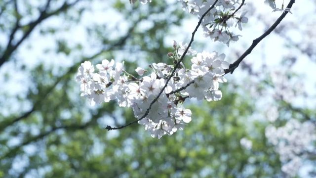 0327_121617_281.jpg 微信图片_2025-03-27_121710_651.jpg